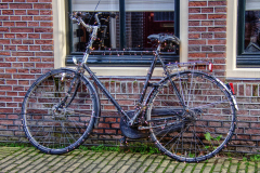 Alkmaar-in-beeld-158