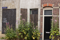 Alkmaar-in-beeld-20