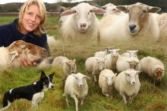 069-Schapen-Marijke-Dirkson